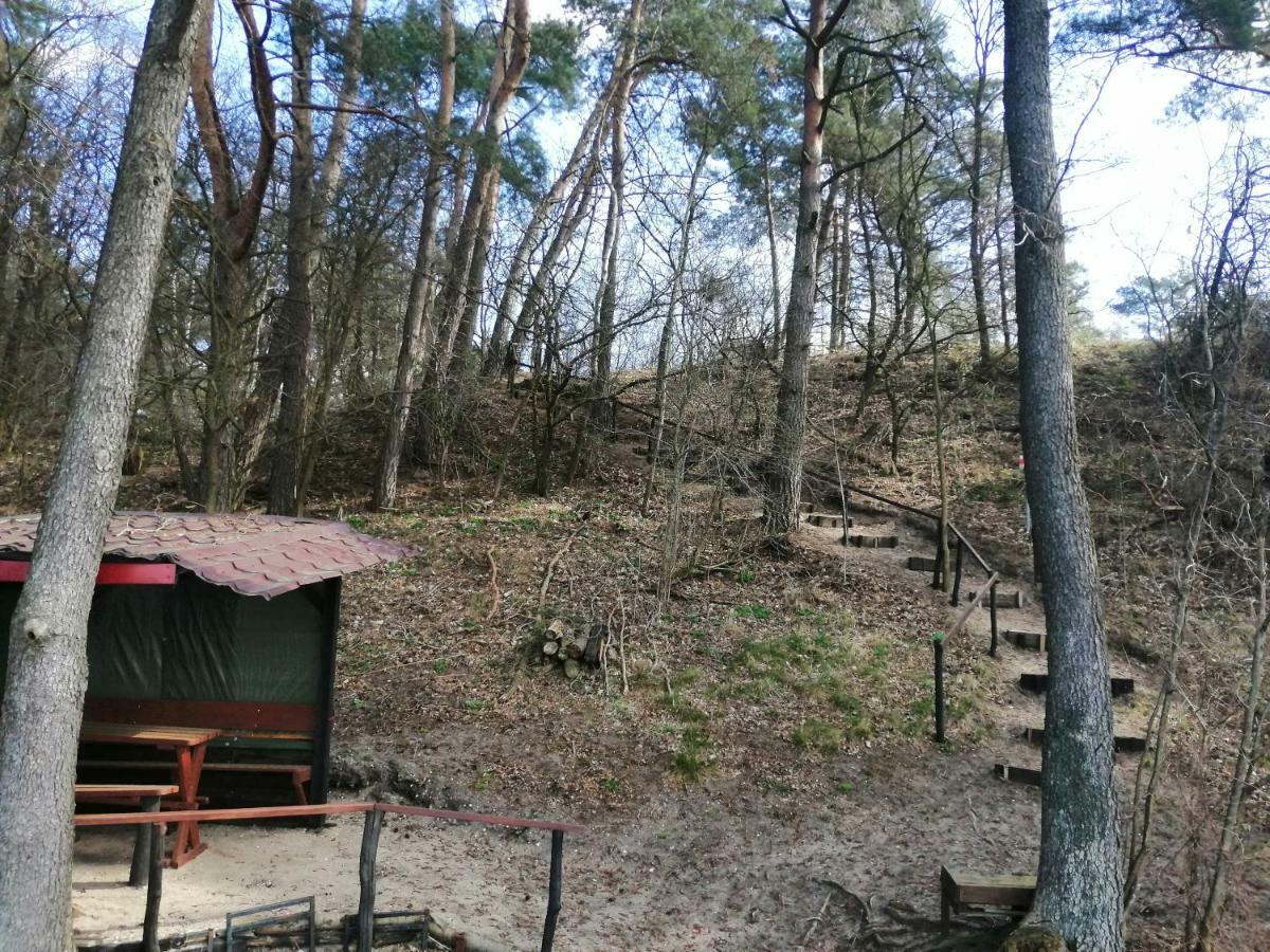 Domki Nad Jeziorem Dąbrówno Buitenkant foto